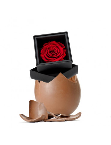 Rosa Stabilizzata e Uovo di Cioccolato