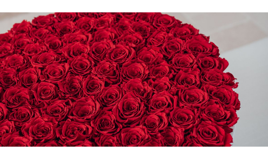 300 rose per rendere indimenticabile un'occasione speciale